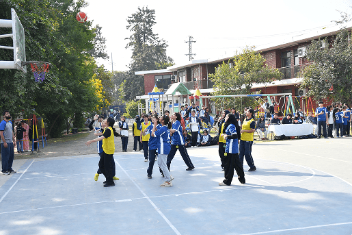 Froebel's Experience