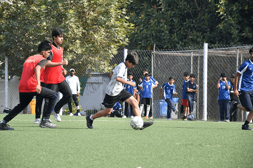 Froebel's Experience